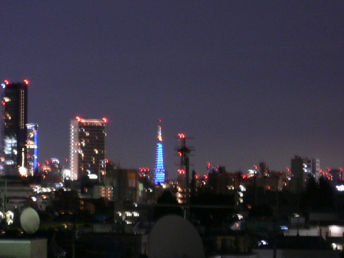 luna e torre tokyo (2).JPG